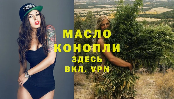 меф Горняк
