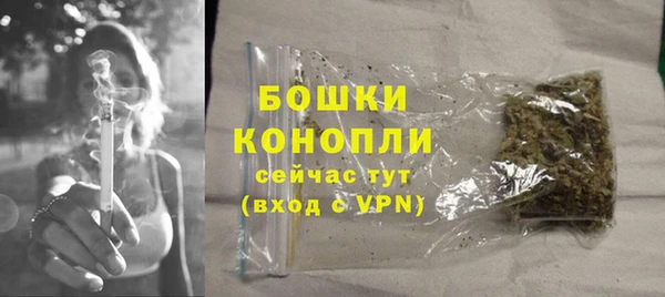 дмт Горнозаводск