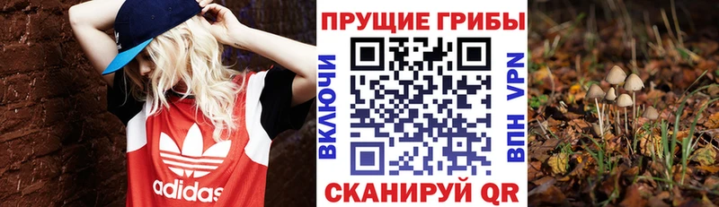 Галлюциногенные грибы прущие грибы  Давлеканово 